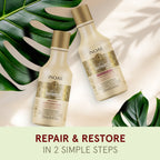 INOAR Absolut Daymoist Shampoo & Conditioner Kit – Repair, Nourishment & Color Protection