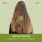 Hair care line for restoring softness and reducing dryness for color treated hair